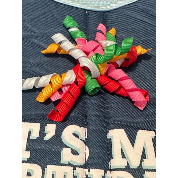 Party Birthday Dog Harness, Medium. New! - Picture 3 of 10